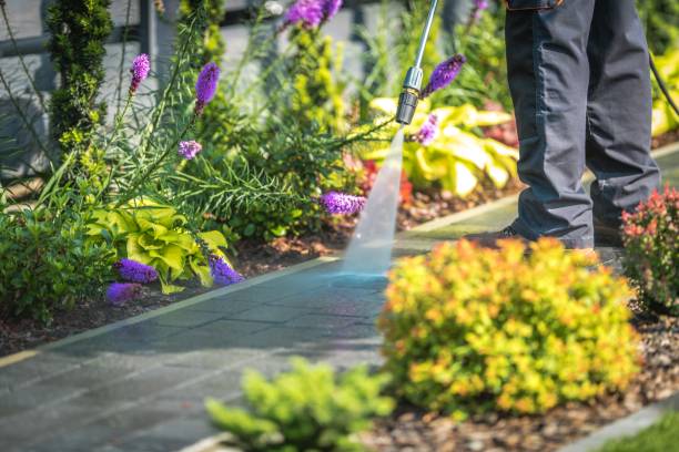 Best Gutter Cleaning  in Spartanburg, SC